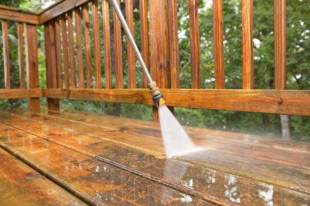 Best Residential Pressure Washing Services  in Marion, MS